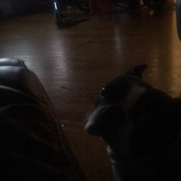 Meet your Posher, Kris - Picture 1 of 1